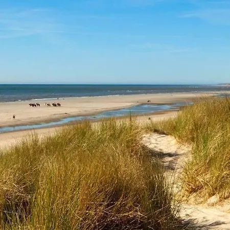 Appartement Studio L'amiral Au Touquet Le Touquet-Paris-Plage